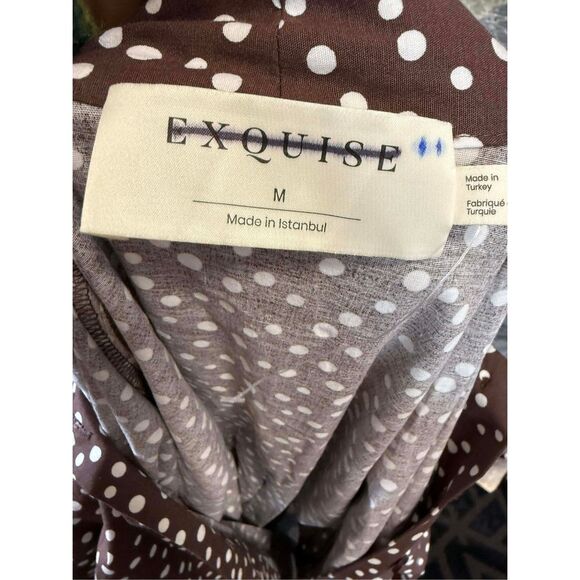 New Anthropologie The Tobie Tie-Neck Shirt Dress by Exquise sz M - Picture 9 of 10